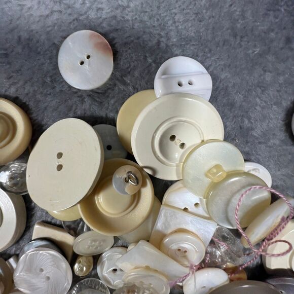 🦃 White Cream Buttons Assorted Sizes - Picture 7 of 8